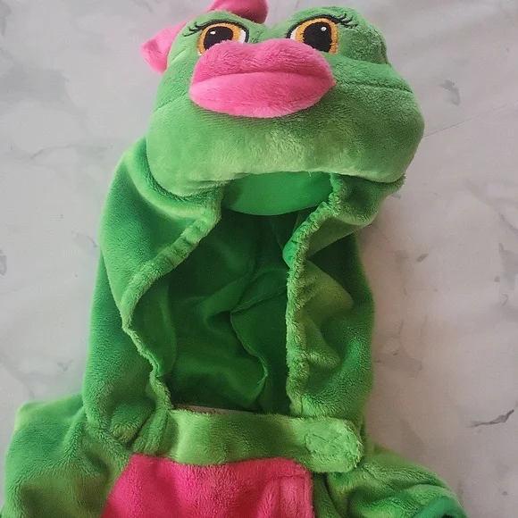 Princess Paradise Felicia the Frog Costume rare - Picture 3 of 9